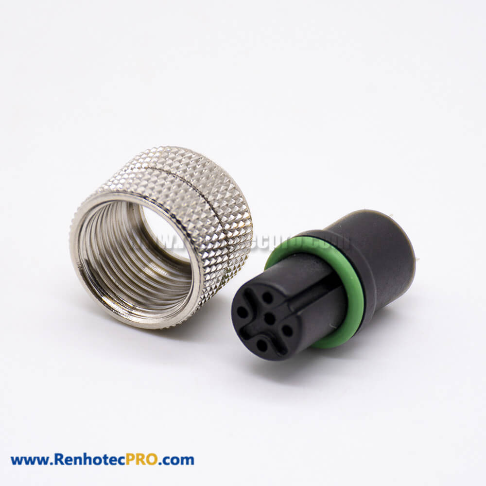 m12 Connector 5 pin Straight Female Overmolded Solder Cup Unshielded