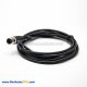 Male 3Pin M12 A Code Straight Connector Molded Cable 2M Extension Cordsets
