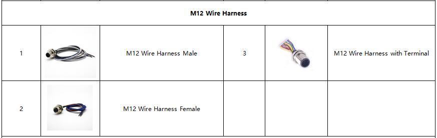 M12 Wire Harness